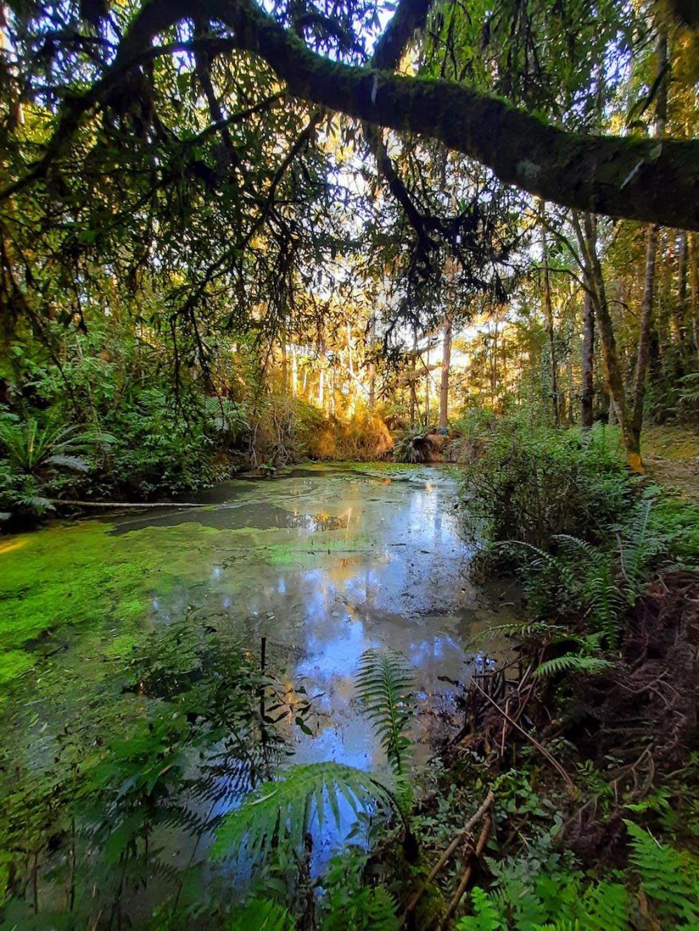 Recanto Paraiso Aventuras Rio Negrinho Kültér fotó